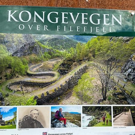 Mjosvang Kafe Vang I Valdres Exterior photo